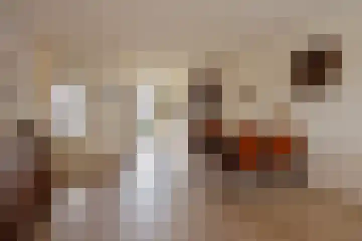 Werkerlaan 135 Zwolle thumbnail 12