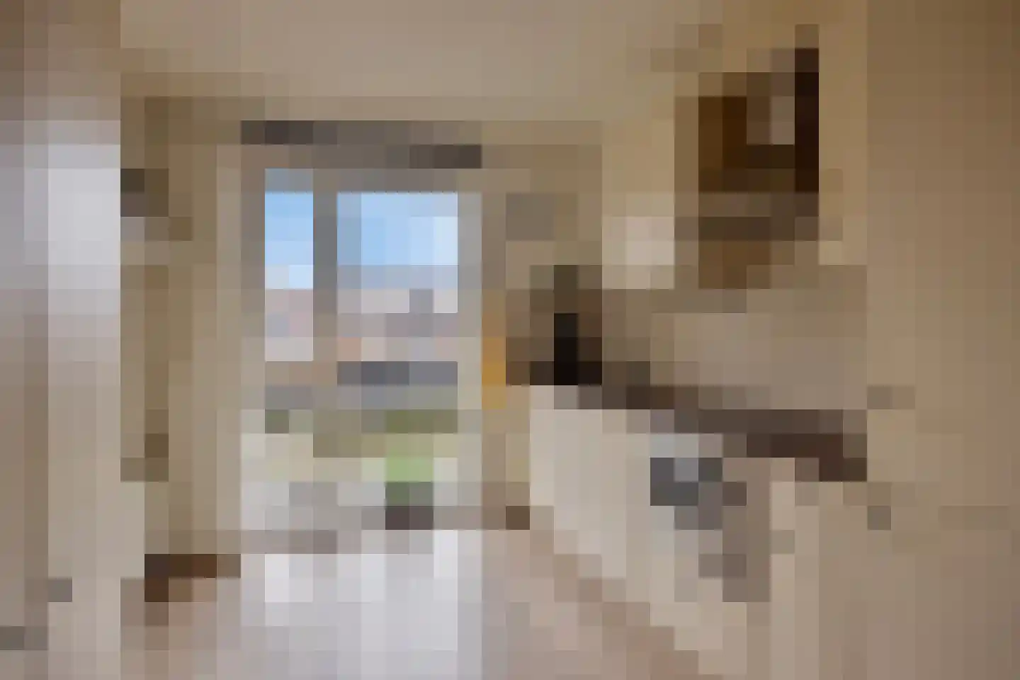 Werkerlaan 135 Zwolle thumbnail 15