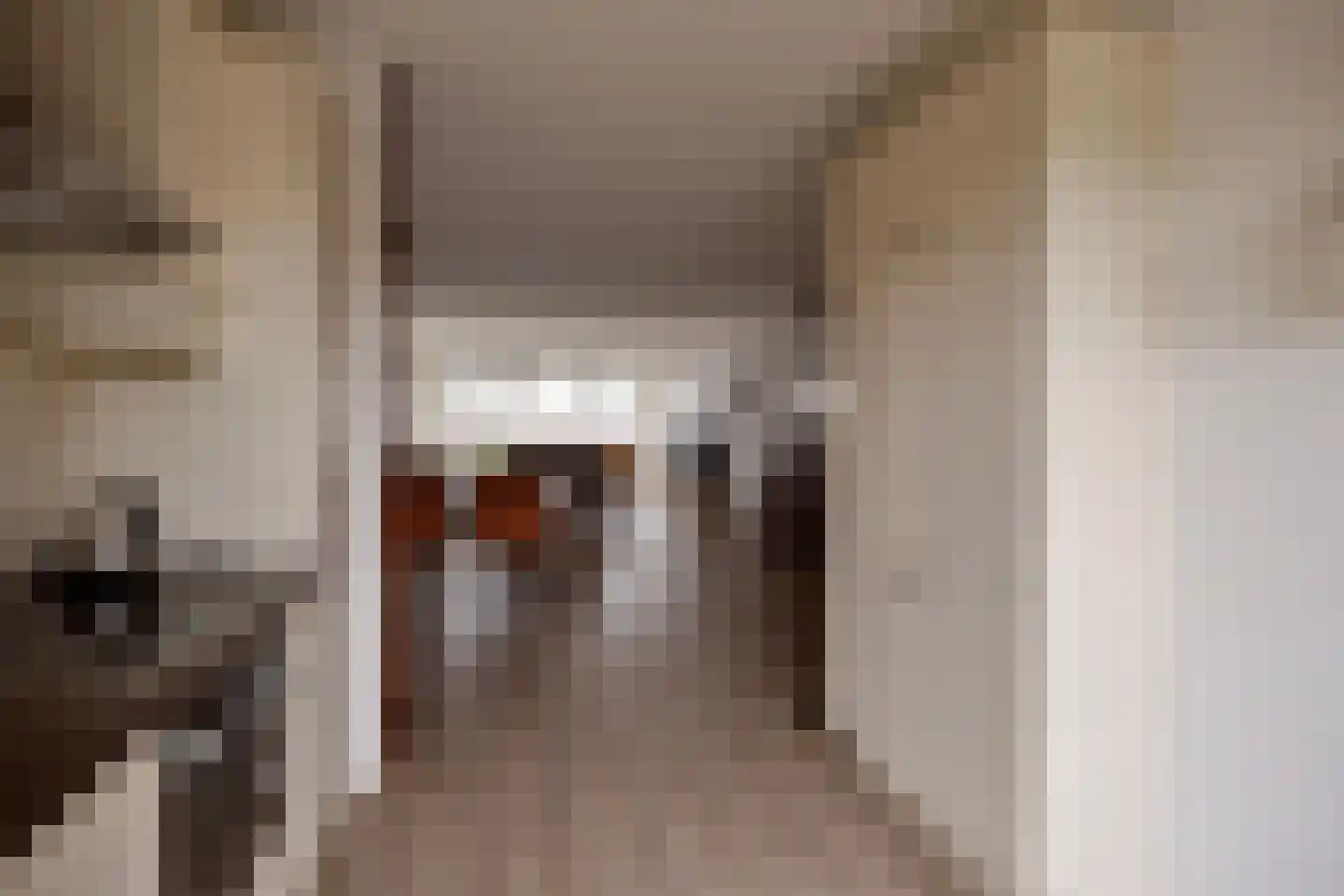 Werkerlaan 135 Zwolle thumbnail 17
