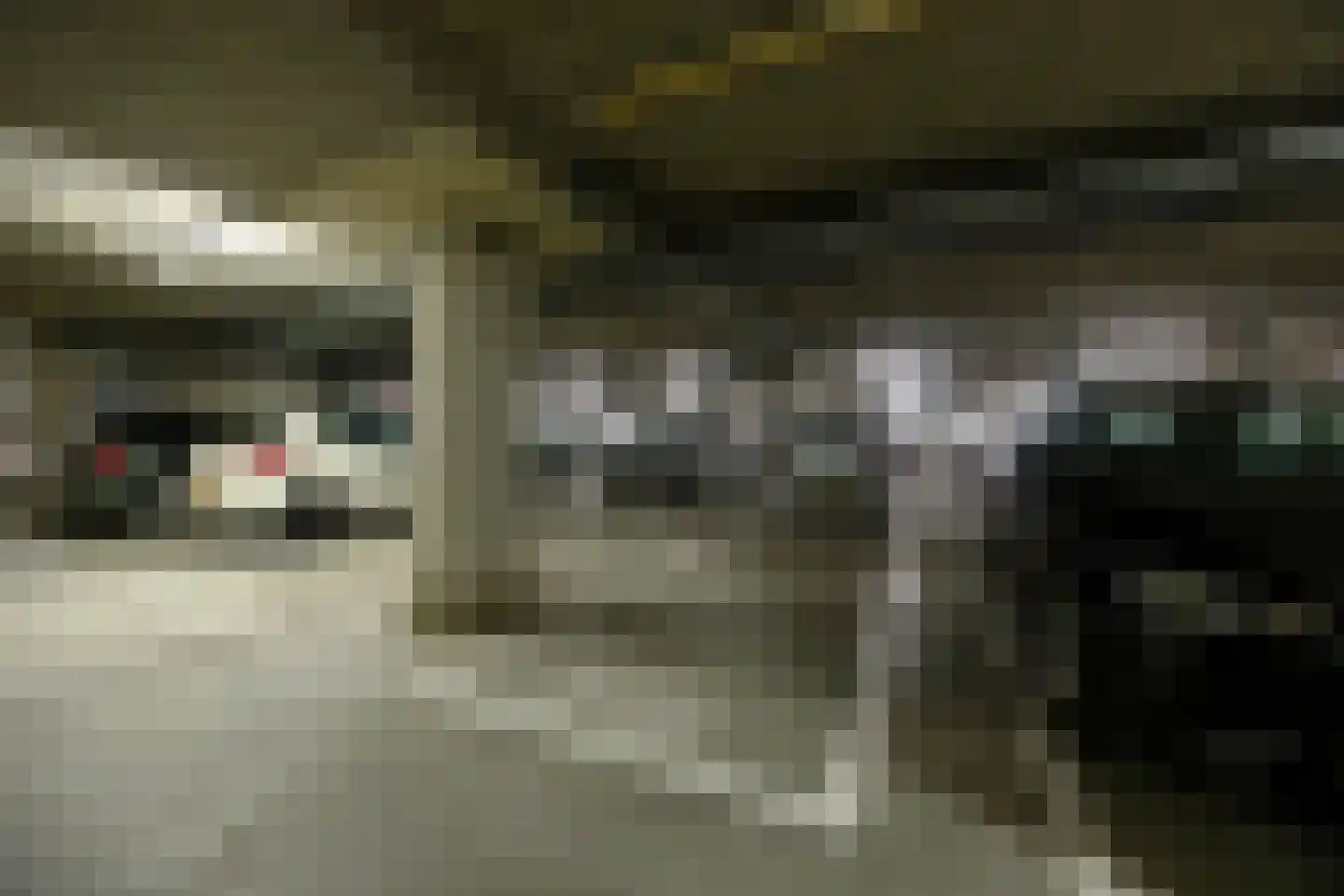 Werkerlaan 135 Zwolle thumbnail 25