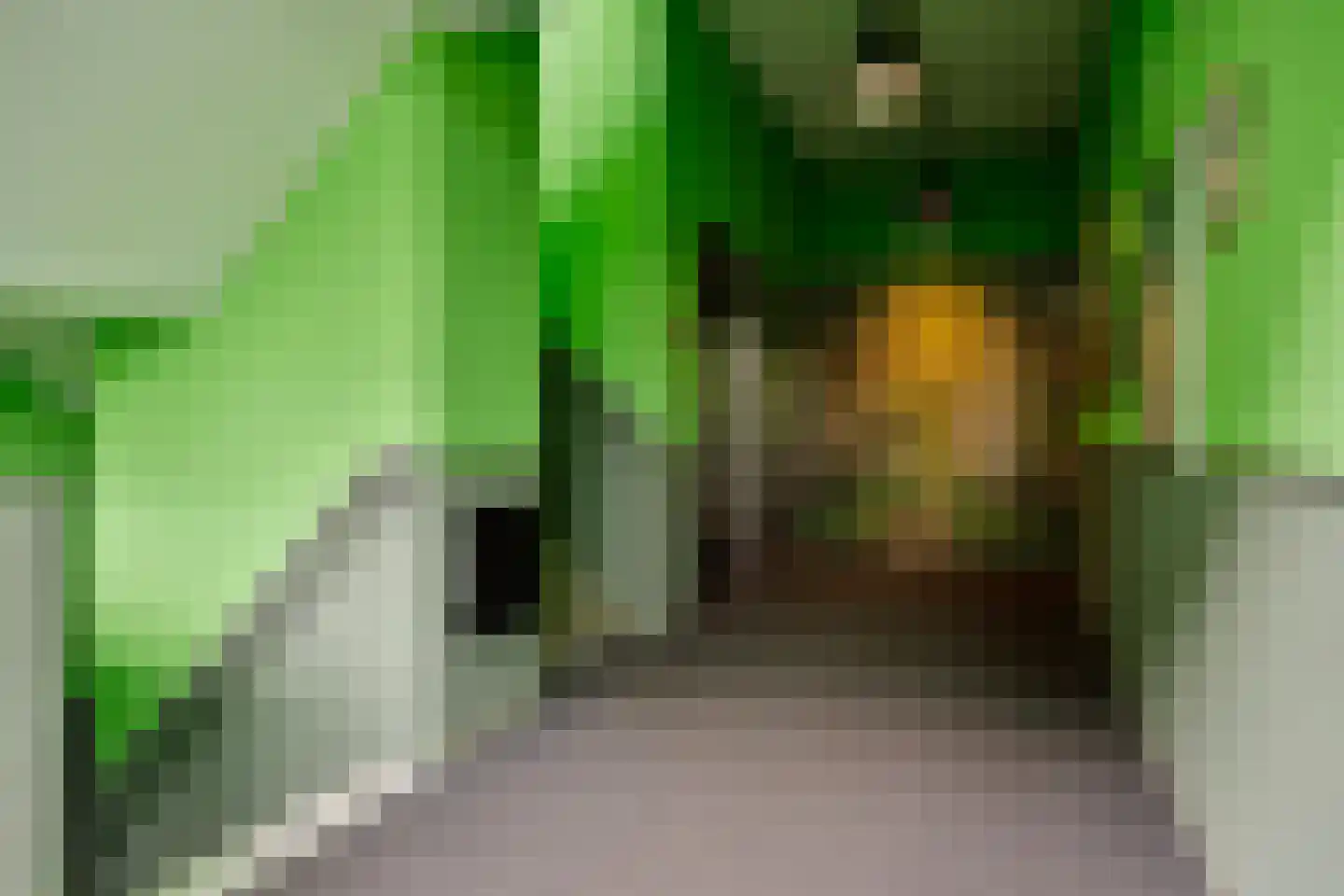 Werkerlaan 135 Zwolle thumbnail 5