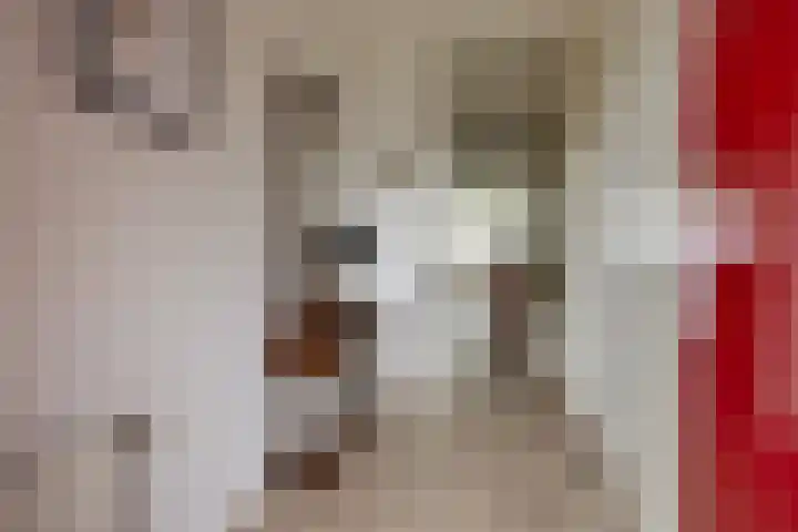Werkerlaan 135 Zwolle thumbnail 6