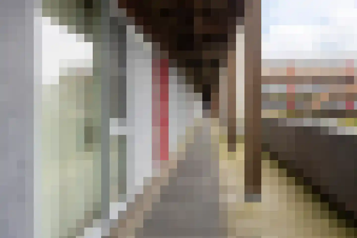 Werkerlaan 135 Zwolle thumbnail 7