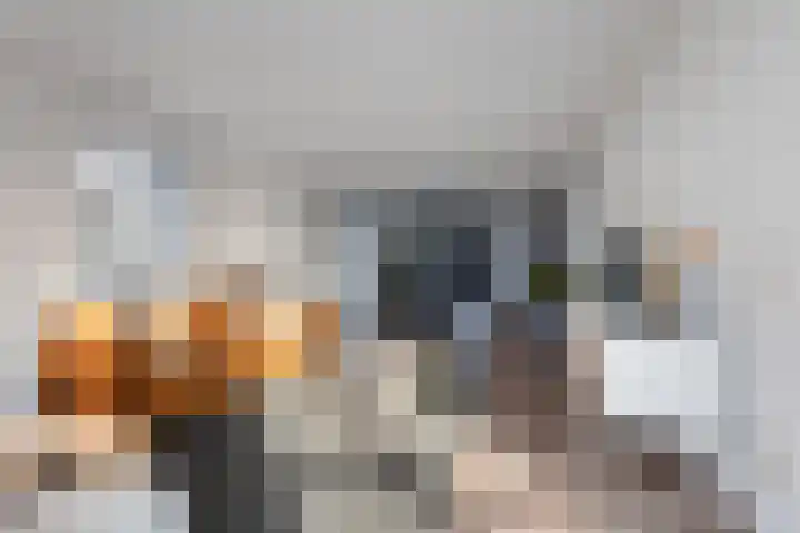 Werkerlaan 169 Zwolle thumbnail 12