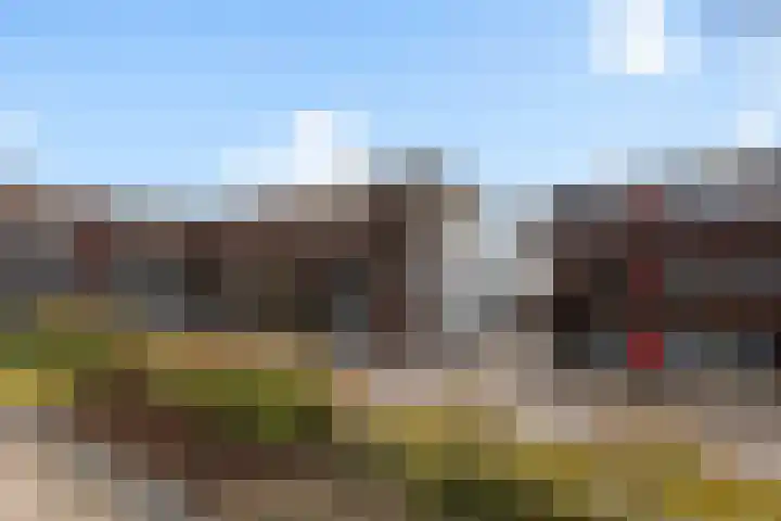 Werkerlaan 169 Zwolle thumbnail 24