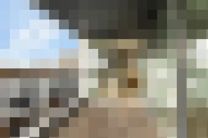 Werkerlaan 169 Zwolle thumbnail 4