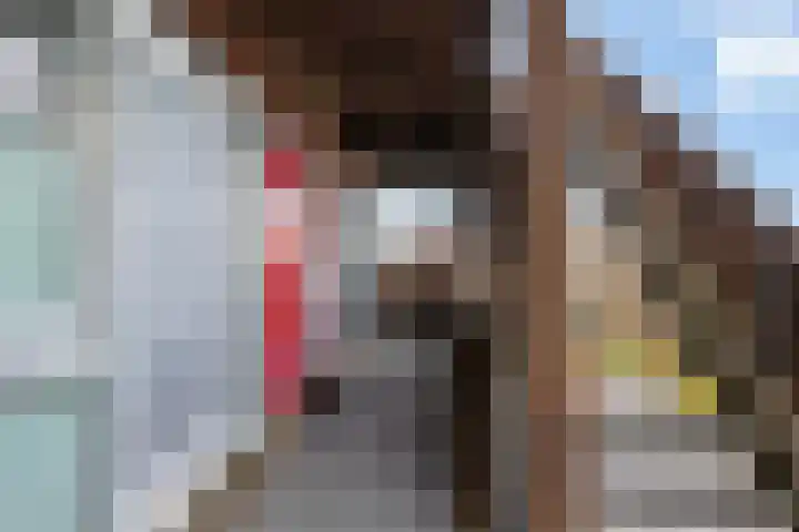 Werkerlaan 169 Zwolle thumbnail 9