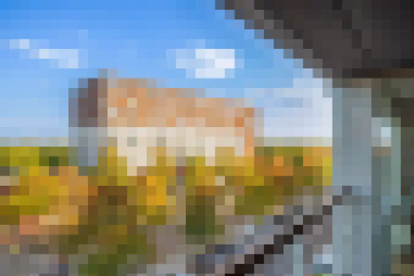 Werkerlaan 173 Zwolle thumbnail 10