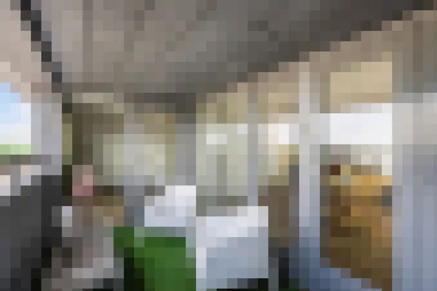 Werkerlaan 197 Zwolle thumbnail 22