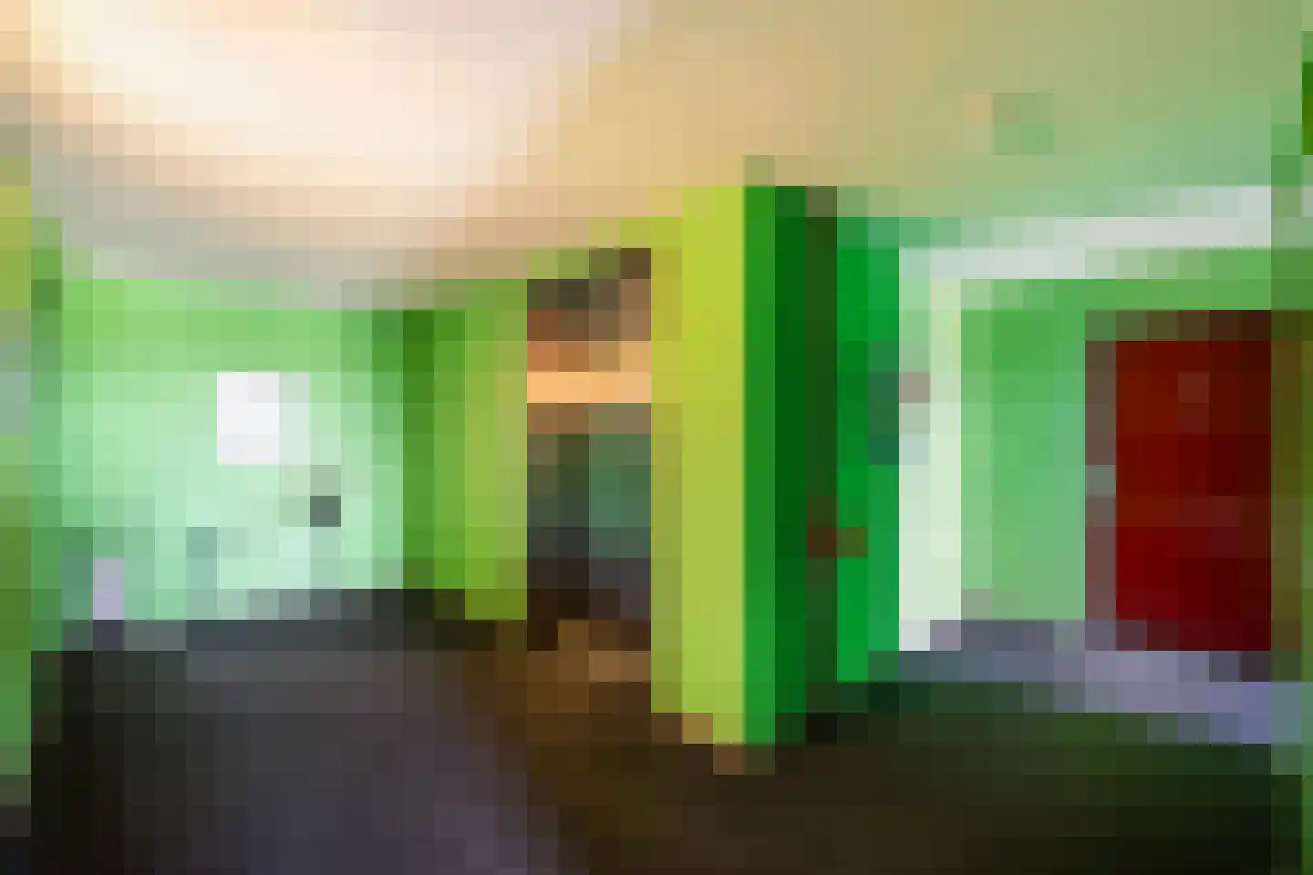 Werkerlaan 197 Zwolle thumbnail 27