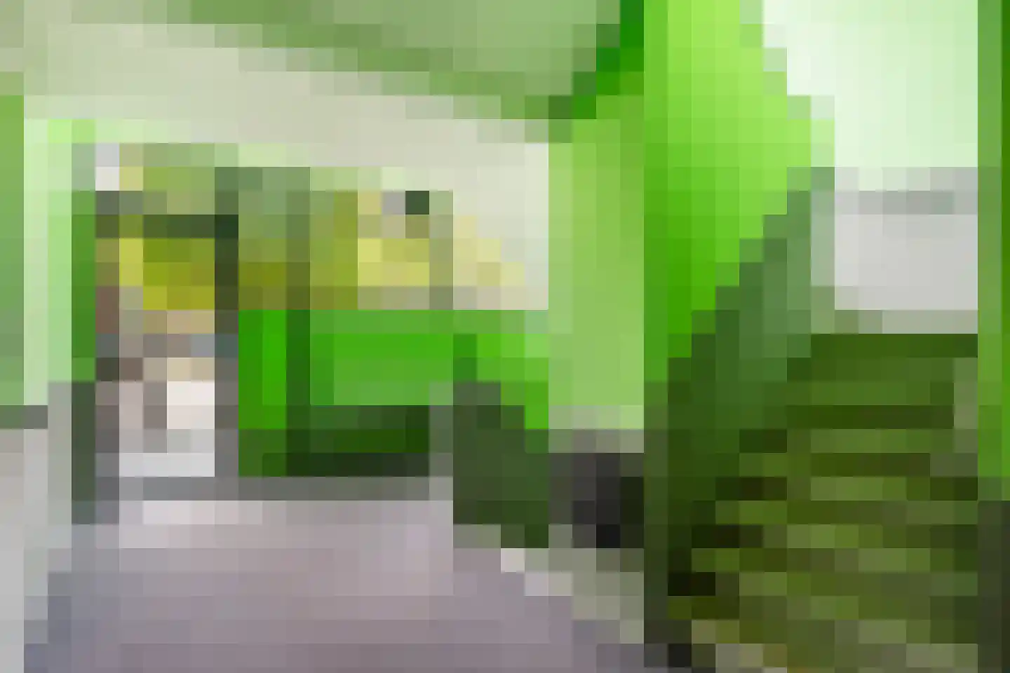 Werkerlaan 197 Zwolle thumbnail 5