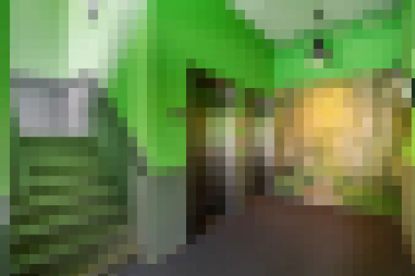 Werkerlaan 197 Zwolle thumbnail 6