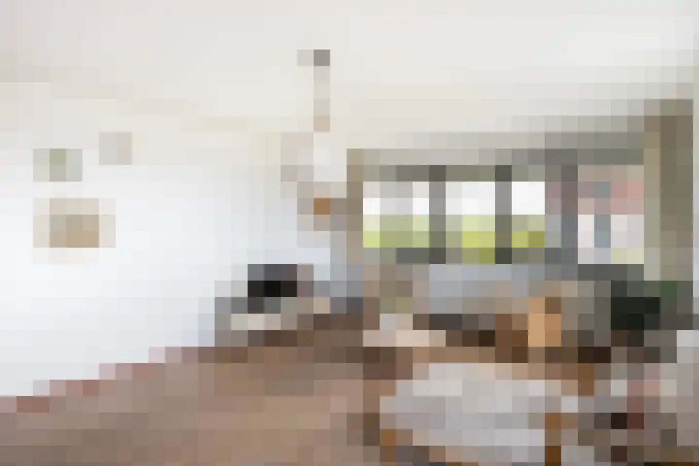 Werkerlaan 197 Zwolle thumbnail 8