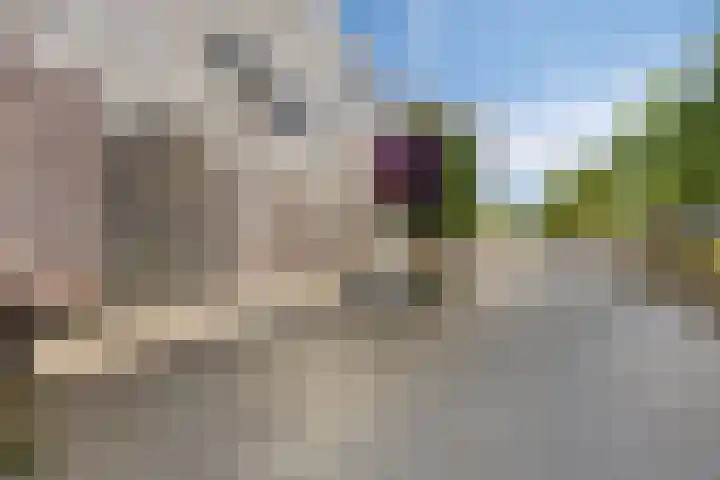 Werkerlaan 43 Zwolle thumbnail 22