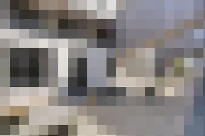 Werkerlaan 43 Zwolle thumbnail 25