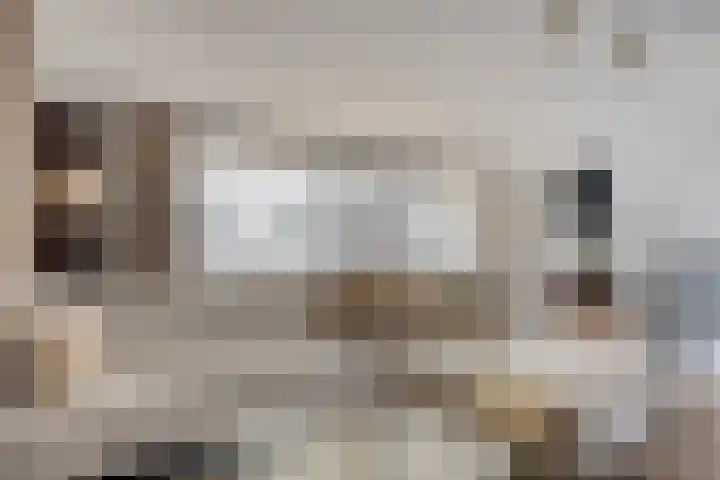 Werkerlaan 43 Zwolle thumbnail 4