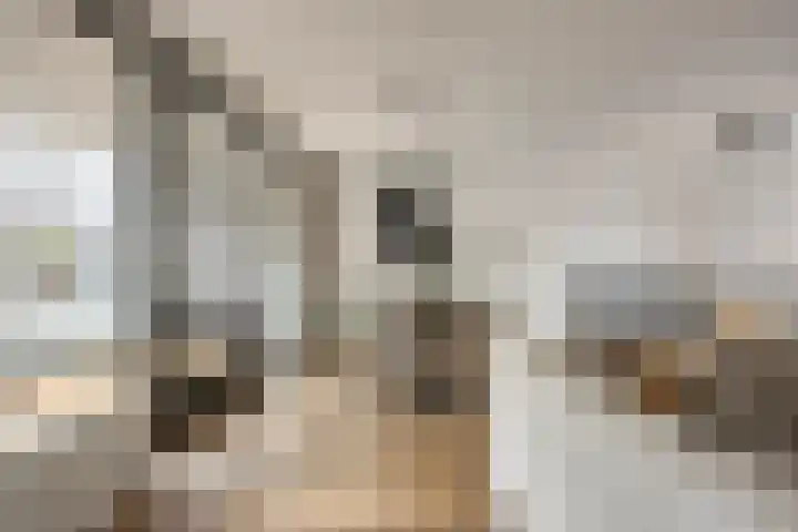 Werkerlaan 43 Zwolle thumbnail 5
