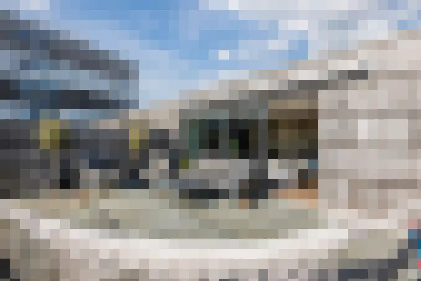 Werkerlaan 45 Zwolle thumbnail 39