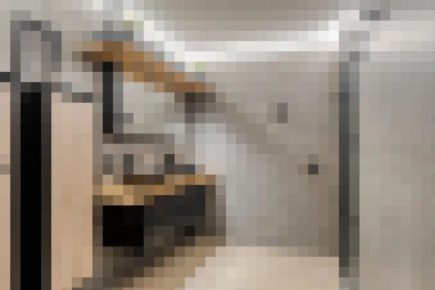Werkerlaan 55 Zwolle thumbnail 12