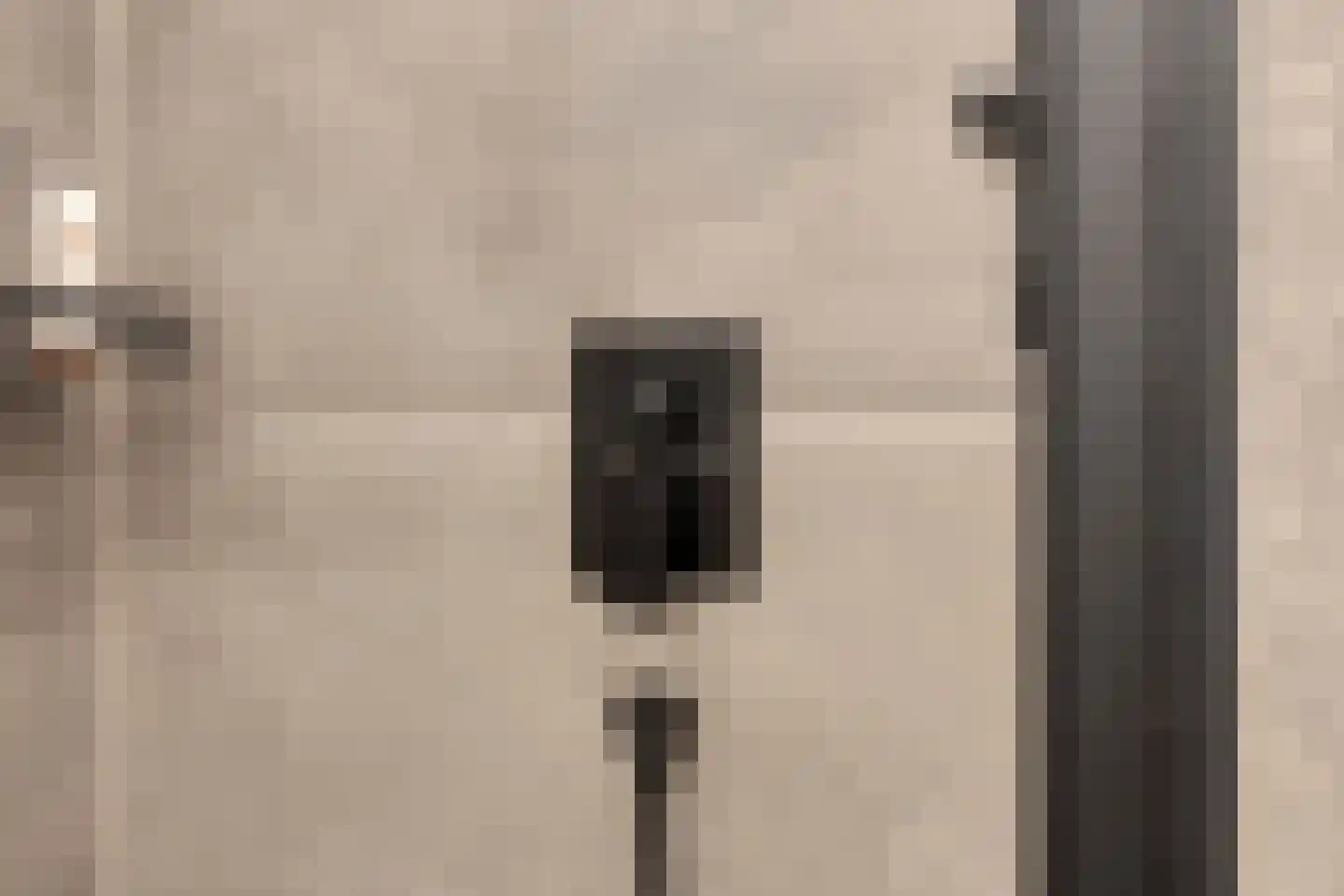Werkerlaan 55 Zwolle thumbnail 16