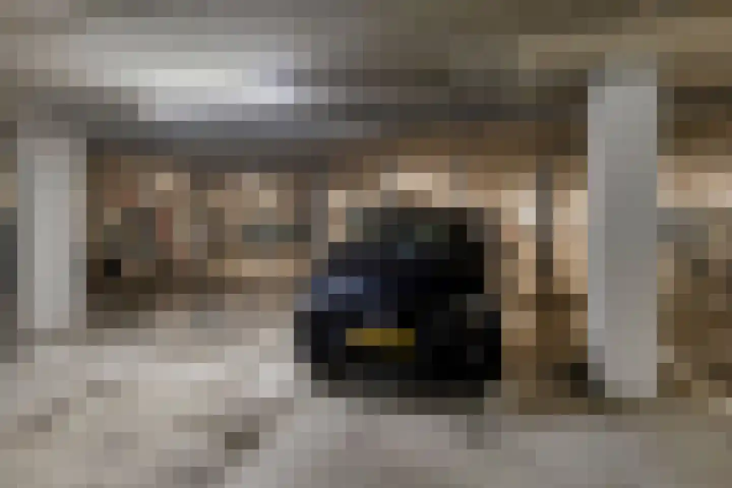 Werkerlaan 55 Zwolle thumbnail 32