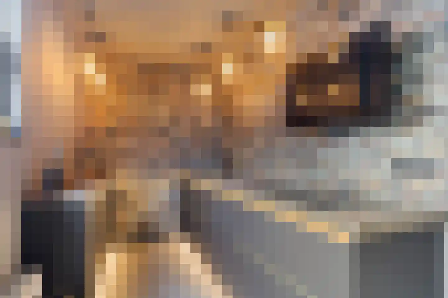 Werkerlaan 55 Zwolle thumbnail 7