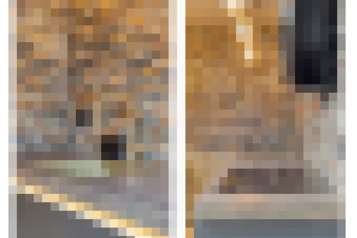 Werkerlaan 55 Zwolle thumbnail 8