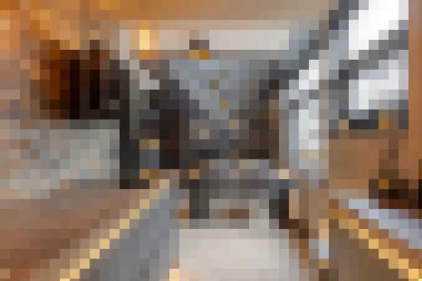 Werkerlaan 55 Zwolle thumbnail 9