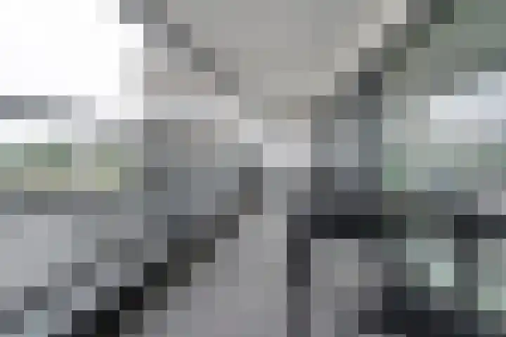 Werkerlaan 79 Zwolle thumbnail 27