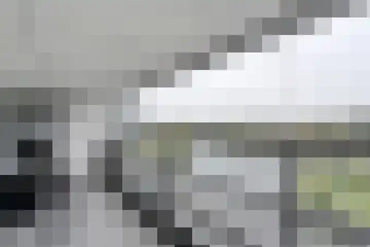 Werkerlaan 79 Zwolle thumbnail 28