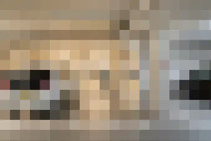 Werkerlaan 79 Zwolle thumbnail 29
