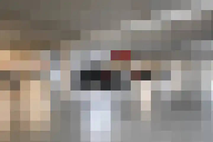 Werkerlaan 79 Zwolle thumbnail 30