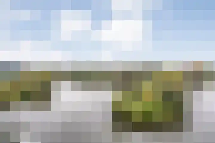 Werkerlaan 79 Zwolle thumbnail 31