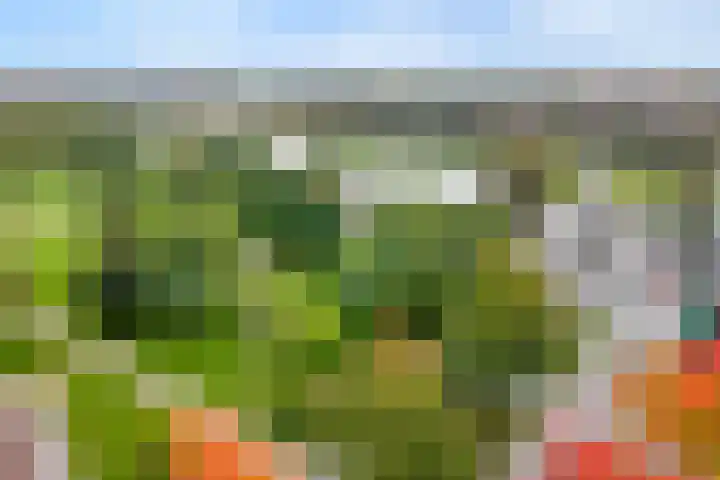Werkerlaan 79 Zwolle thumbnail 33