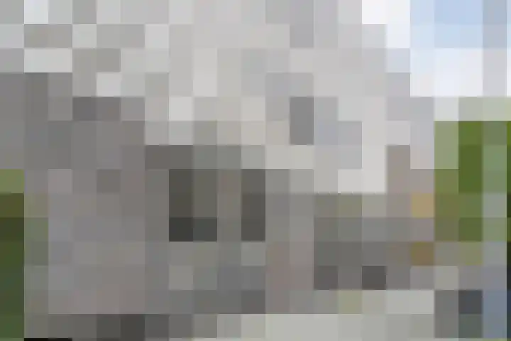 Werkerlaan 79 Zwolle thumbnail 4