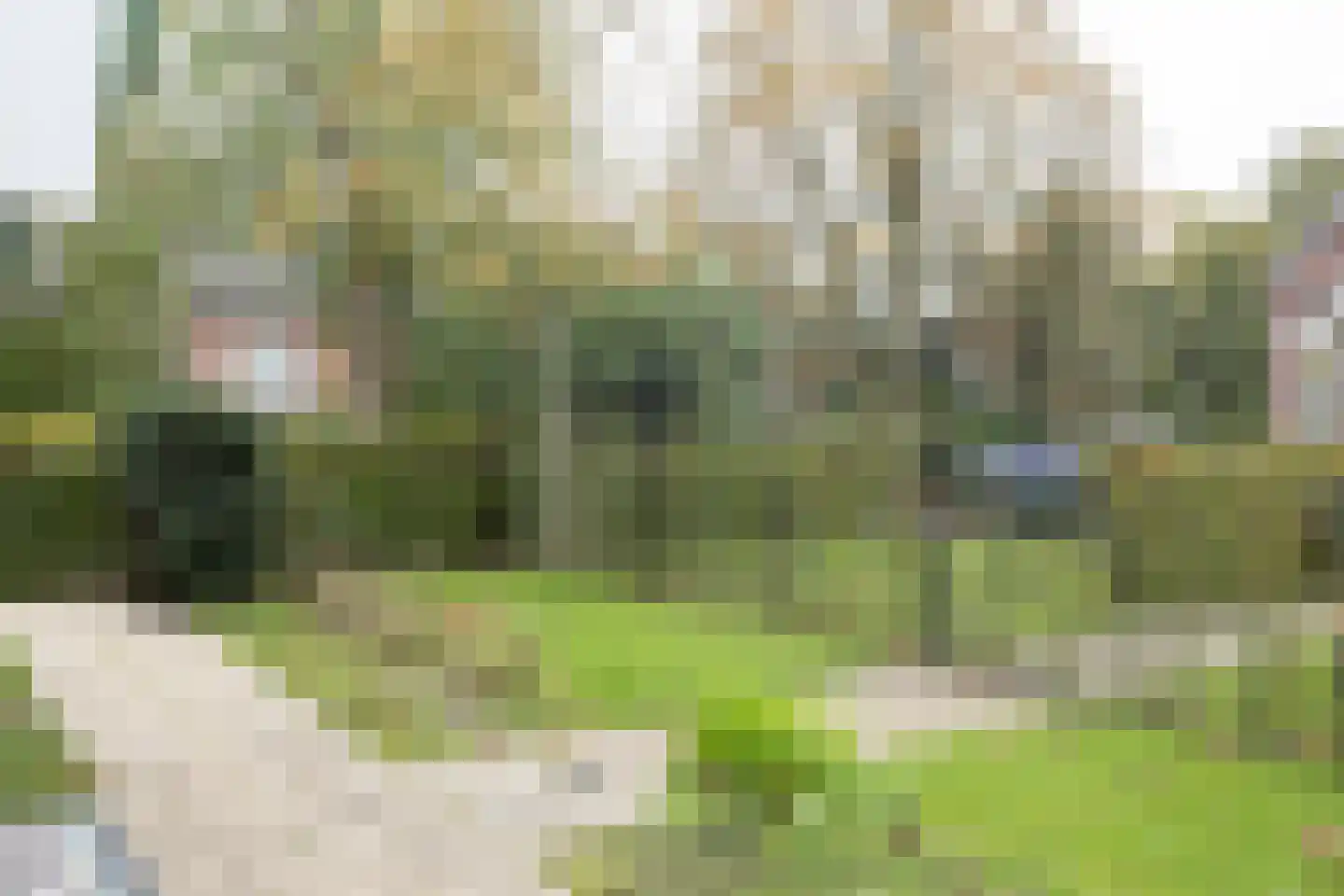 Werkersdijk 22 a Rhoon thumbnail 4