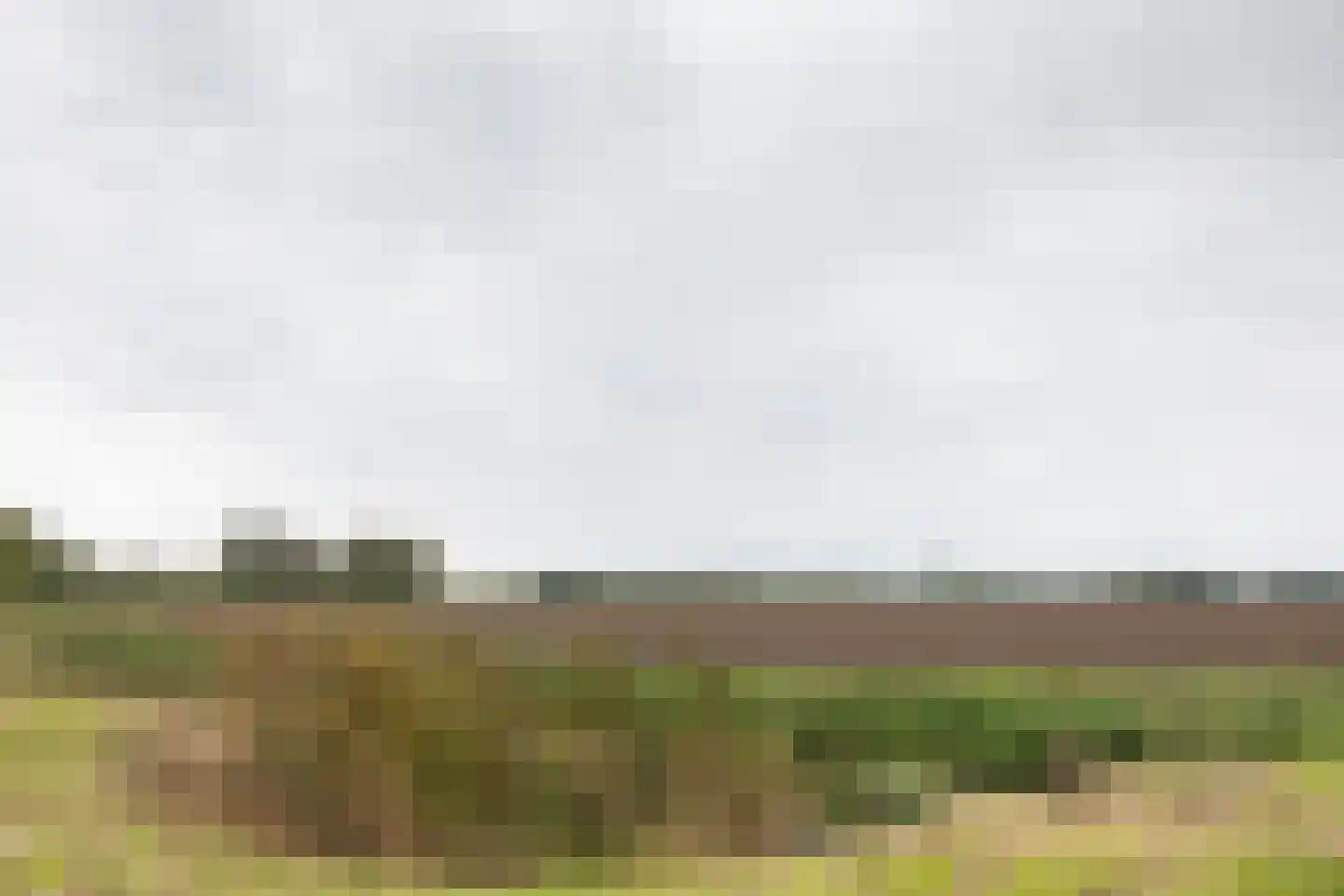 Werkersdijk 22 a Rhoon thumbnail 41