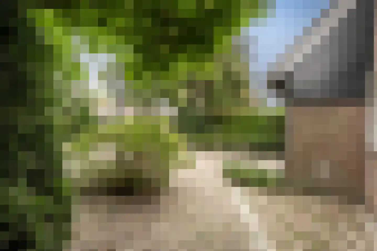 Werkersdijk 63 Rhoon thumbnail 64