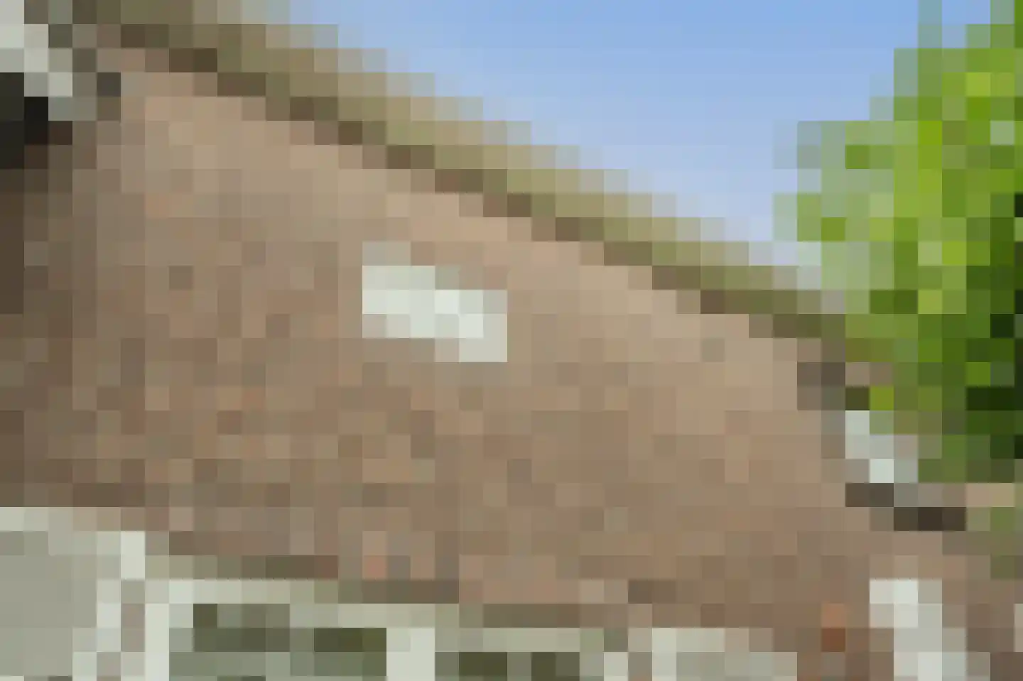 Werkersdijk 63 Rhoon thumbnail 68