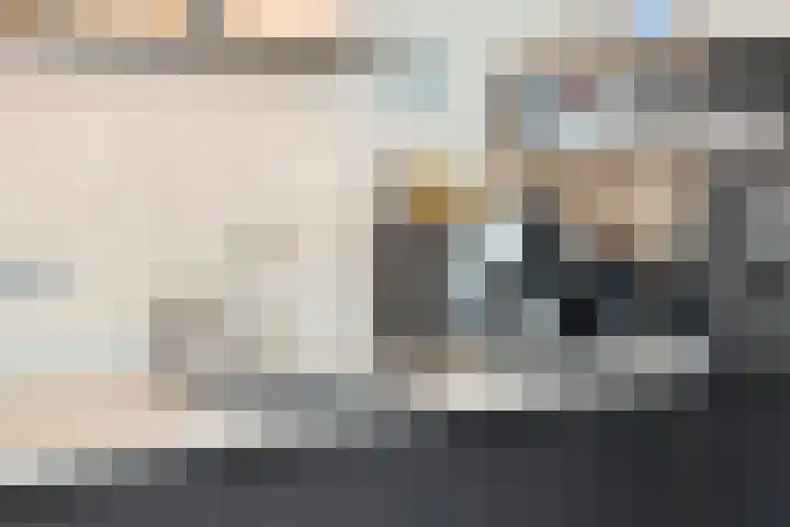 Werkhorst 14 Meppel thumbnail 17