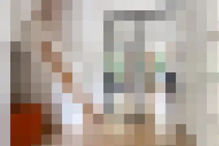 Werkhorst 14 Meppel thumbnail 21