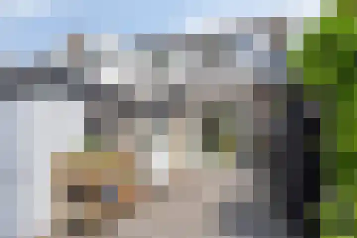 Werkhorst 14 Meppel thumbnail 34