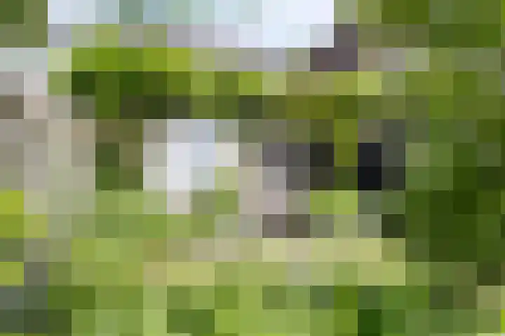 Werkhorst 14 Meppel thumbnail 35