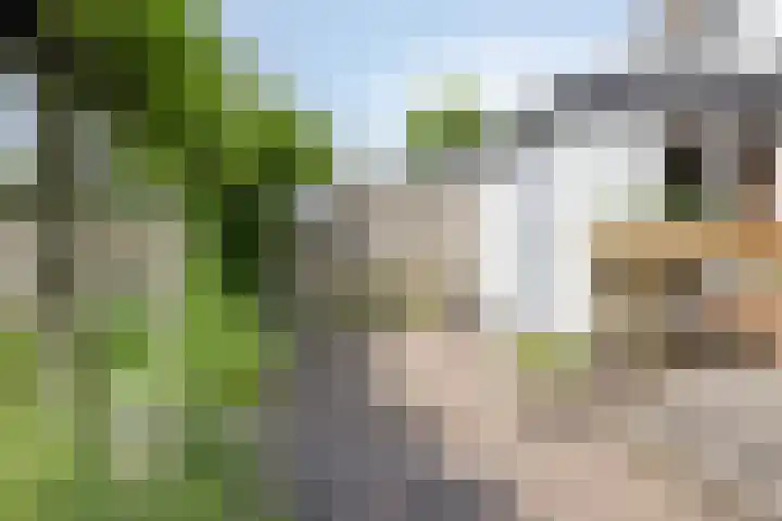Werkhorst 14 Meppel thumbnail 37