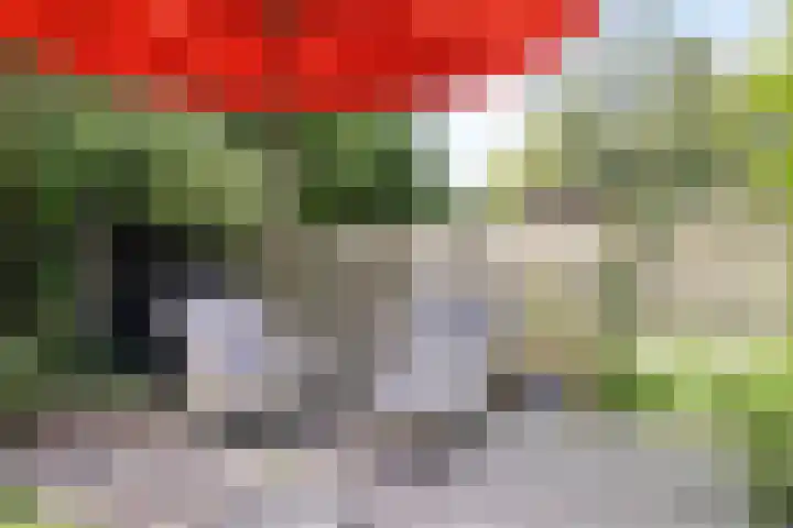 Werkhorst 14 Meppel thumbnail 40