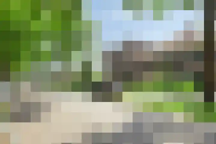 Werkhorst 14 Meppel thumbnail 41