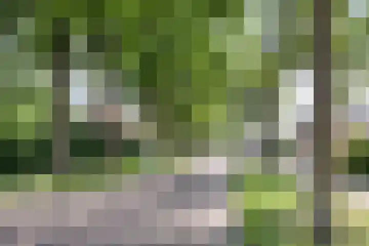 Werkhorst 14 Meppel thumbnail 45
