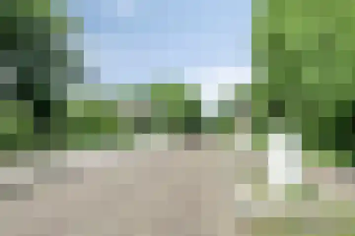 Werkhorst 14 Meppel thumbnail 46