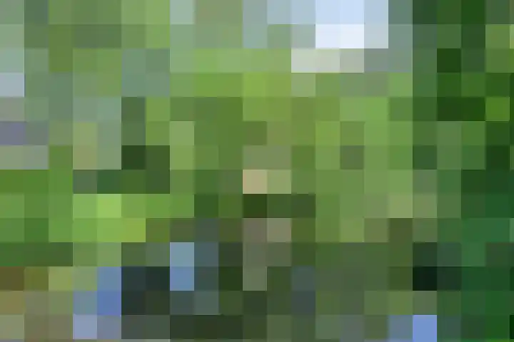 Werkhorst 14 Meppel thumbnail 47