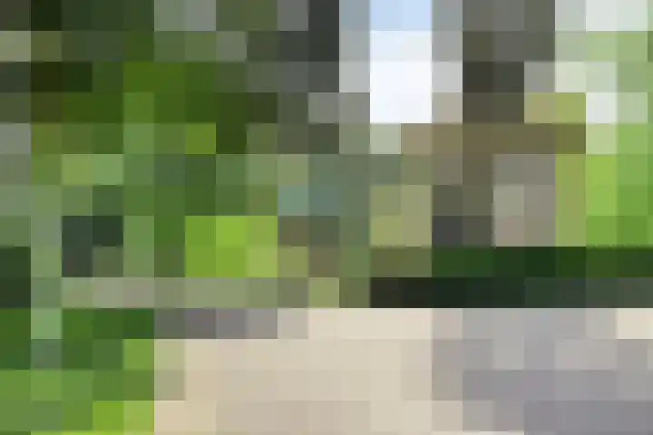 Werkhorst 14 Meppel thumbnail 49